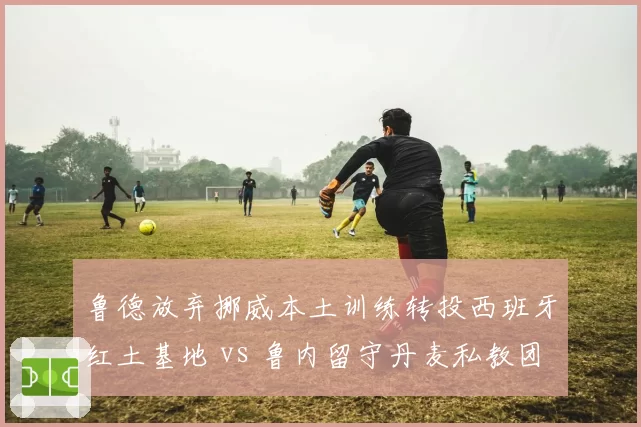 鲁德放弃挪威本土训练转投西班牙红土基地 vs 鲁内留守丹麦私教团队：北欧球员训练哲学差异