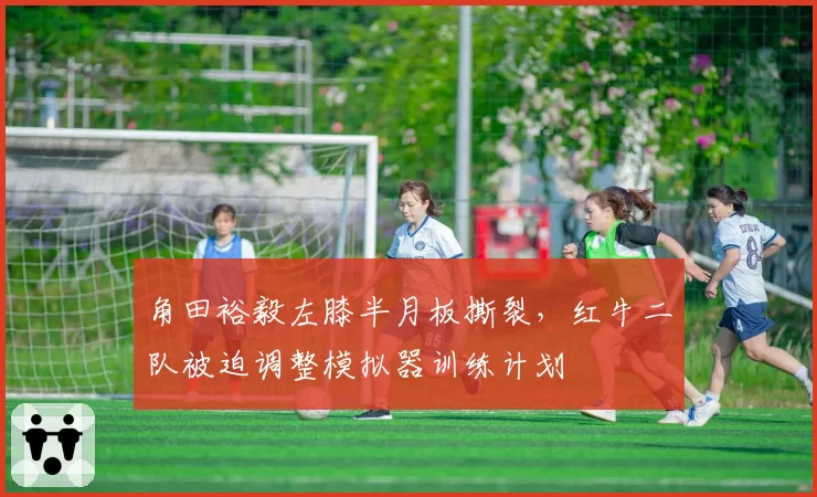 角田裕毅左膝半月板撕裂，红牛二队被迫调整模拟器训练计划