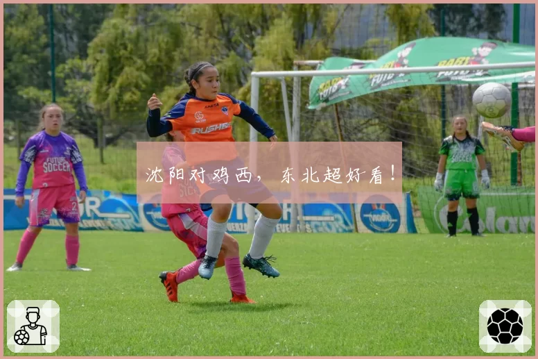 沈阳对鸡西，东北超好看！