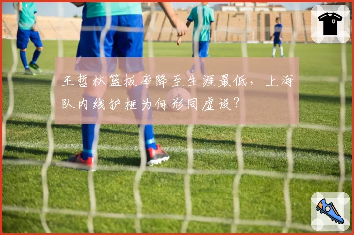 王哲林篮板率降至生涯最低，上海队内线护框为何形同虚设？